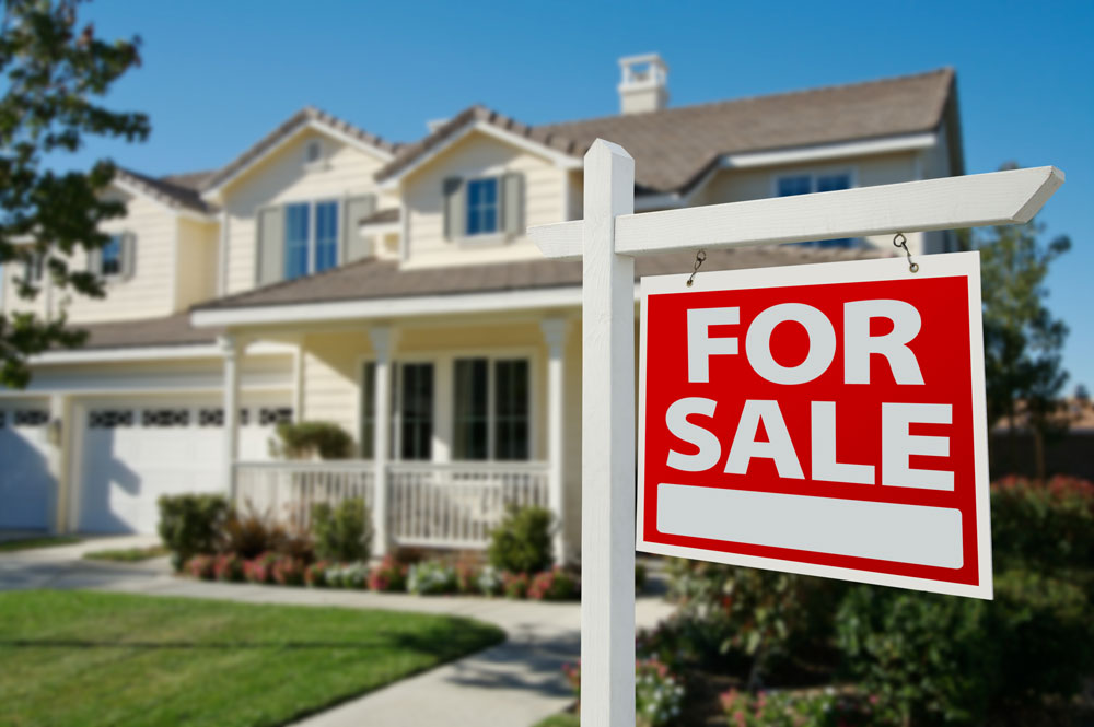 For Realtors
